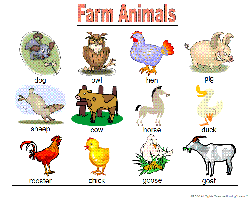 FARM ANIMALS | Create WebQuest