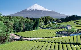 Fuji