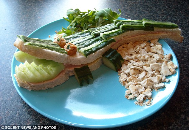 Image Retrieved from http://www.dailymail.co.uk/news/article-2212849/Father-created-cartoon-themed-funky-lunches-children-eat-fruit-veg-creates-party-recipe-book.html