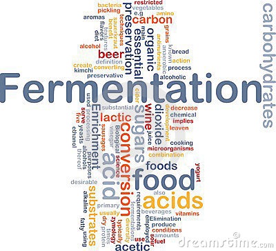 Fermentation
