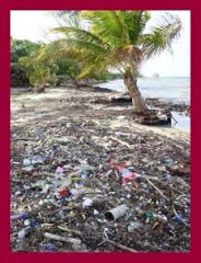 Polluted area in Belize
